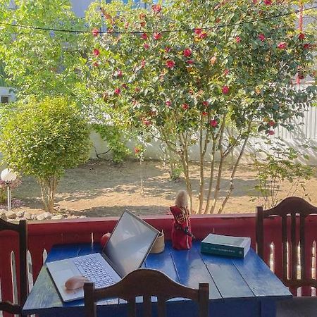 Cottage Коттеджи С Балконом Kobuleti Zewnętrze zdjęcie